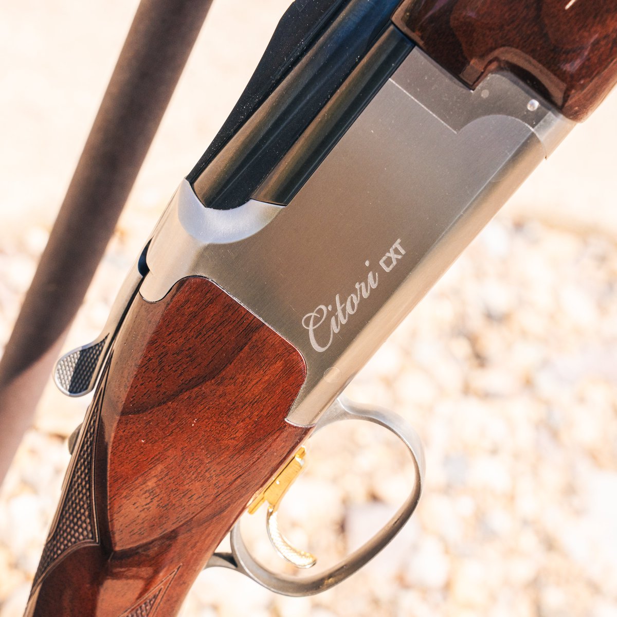 BrowningArms's tweet photo. Citori CXT White

#Browning #Citori #Trap https://t.co/8kp1SzQ3gN