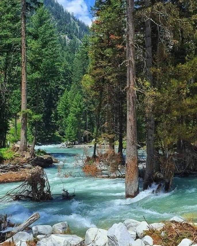 PakistanJannatt's tweet photo. Kumrat Dir Valley 
The land of Hospitality https://t.co/3T0lGiz6po