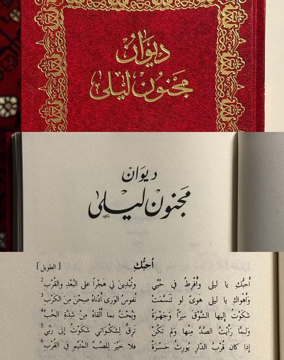 _sha84's tweet photo. هالفترة زاد حُبي للديوان، وبخاطططري عشرات من الدوَاوين)؛❤️‍🩹 https://t.co/sG6pEV9RSs