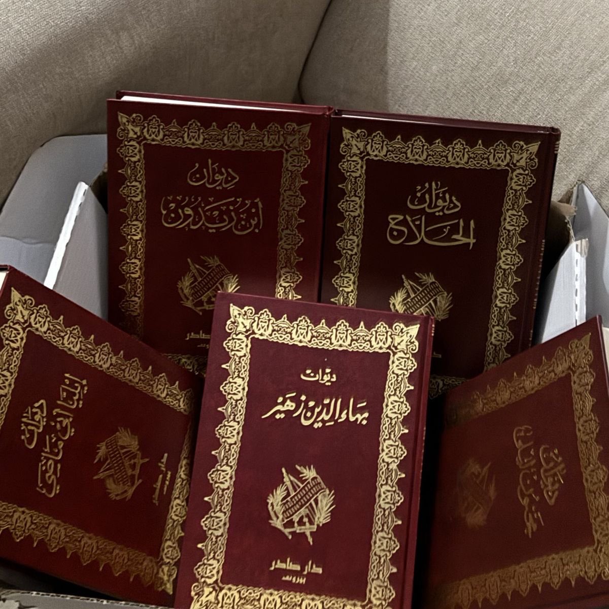 _sha84's tweet photo. هالفترة زاد حُبي للديوان، وبخاطططري عشرات من الدوَاوين)؛❤️‍🩹 https://t.co/sG6pEV9RSs