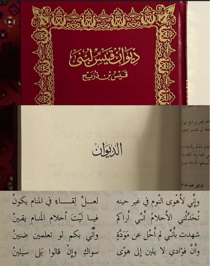 _sha84's tweet photo. هالفترة زاد حُبي للديوان، وبخاطططري عشرات من الدوَاوين)؛❤️‍🩹 https://t.co/sG6pEV9RSs