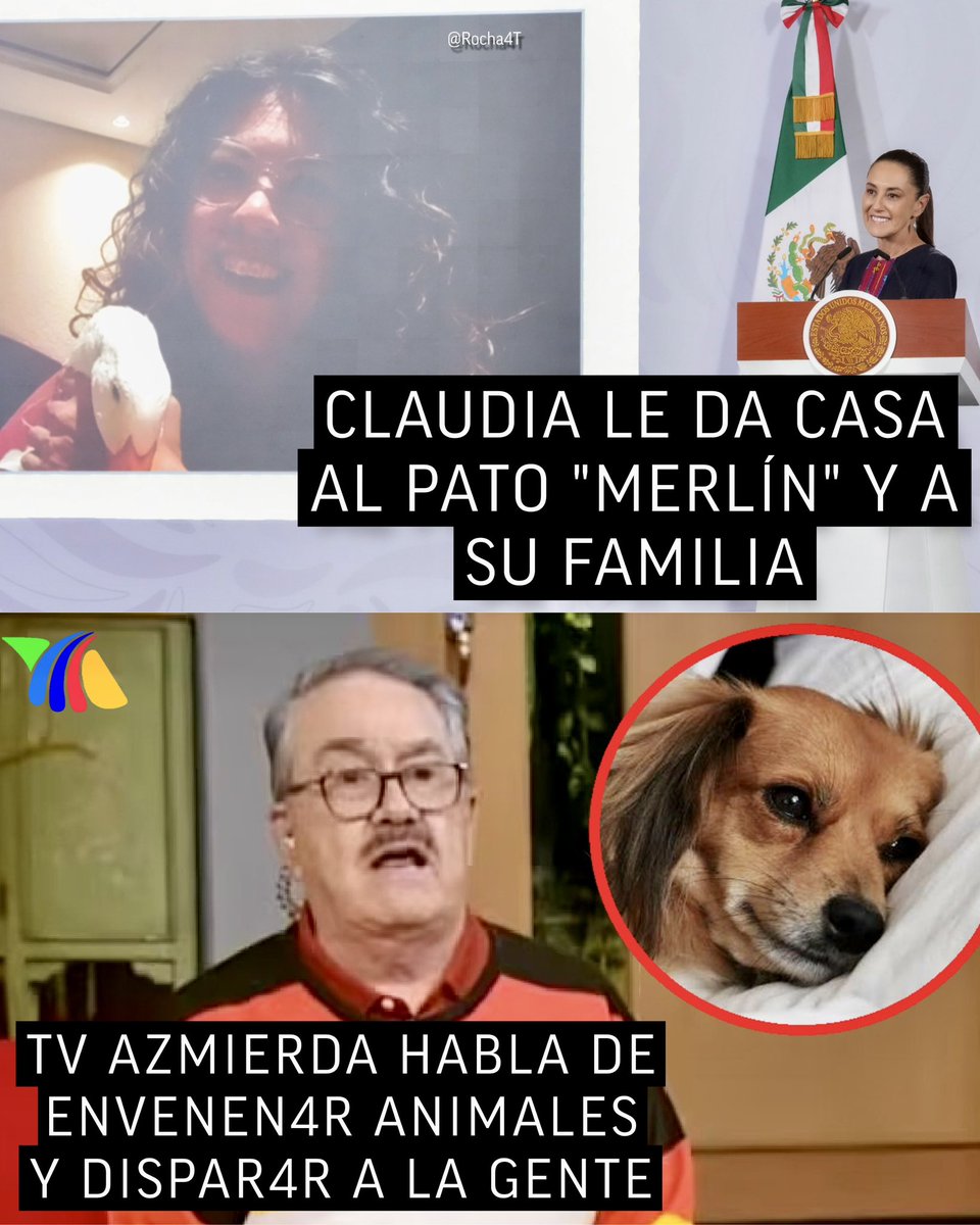 Rocha4T's tweet photo. VAYA VAYA 

Aquí se distingue a un proyecto humanista y animalista.

De un proyecto egoísta y fascista. https://t.co/t9Cb6eg27k