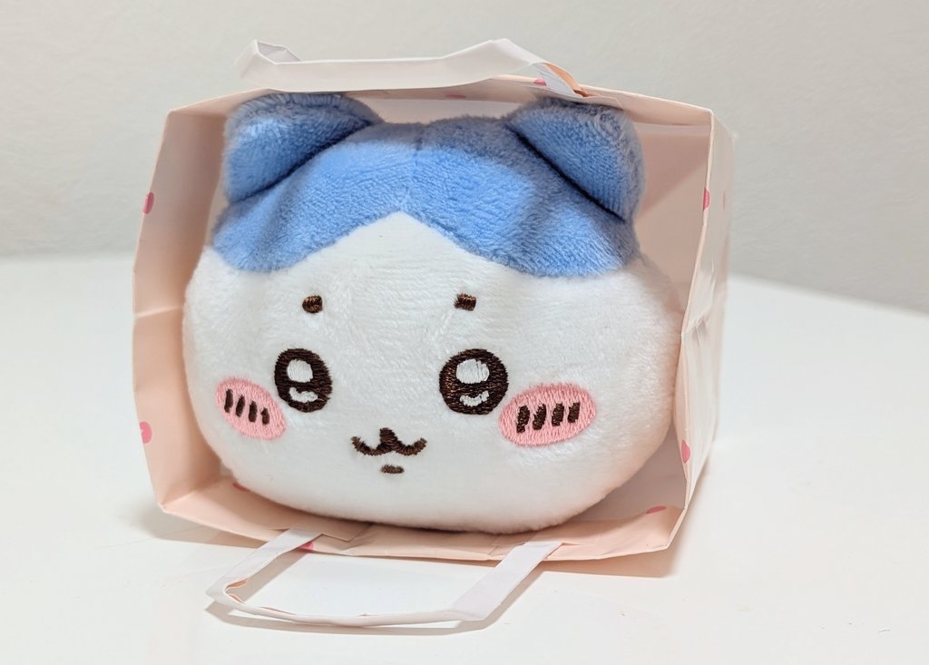 袋入りたくなっちゃうよね🐱🩵