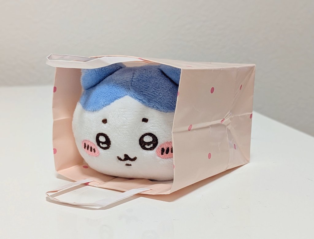 pochette_kuma tweet picture