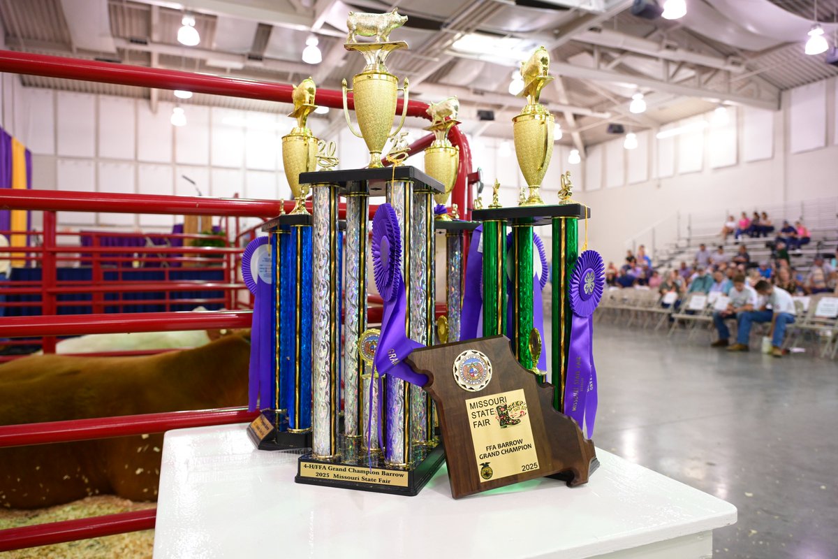 MoStateFair's tweet photo. See all of the GREATEST in MISSOURI in ONE place on Saturday, August 22 at the Best of Missouri Awards and Sale and the Sale of Champions #MoStateFair   #ShowMeStarsandStripes https://t.co/U4hKKm2aMq