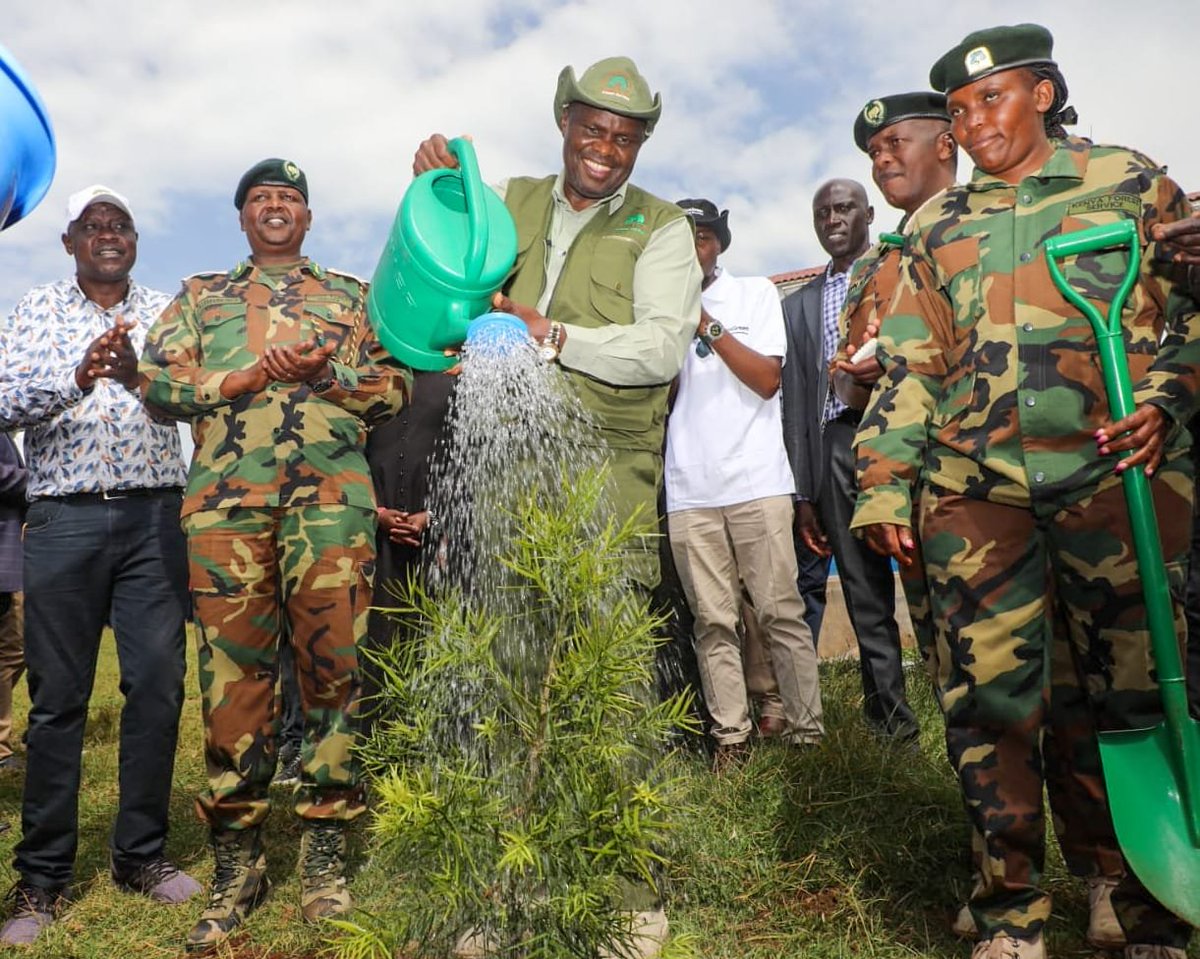 KeForestService's tweet photo. KFS Champions Biogas as a Sustainable Alternative to Firewood

The Kenya Forest Service (KFS) continues to champion clean energy solutions as a key strategy for reducing pressure on forests, minimizing reliance on firewood, and advancing sustainable environmental conservation.

Today, @CCF_Kenya, Mr. Alex Lemarkoko joined the Head of Public Service, @koske_felix, alongside government leaders, development partners and other stakeholders at St. Agatha Mokwo Girls Secondary School for the commissioning of a new 50-cubic-metre biogas plant.

The newly commissioned facility complements the school's existing 30-cubic-metre biogas plant and bakery, both established by the Kenya Forest Service under the Green Zones Development Support Project (GZDSP) Phase I. Together, the two biogas plants will substantially enhance the school's clean energy capacity, reducing dependence on firewood, lowering operational costs, improving the learning environment, and contributing to climate change mitigation through reduced carbon emissions.

Beyond promoting clean energy, KFS has invested in the institution through the construction of a modern biochemistry laboratory to strengthen science education and research. The Service has also supported tree growing and riparian restoration along the river bordering the school, helping protect water catchment areas, restore degraded ecosystems, and improve environmental sustainability.

The integrated interventions reflect KFS's holistic approach to conservation by combining ecosystem restoration, renewable energy, education, and community development. They also support the Government's broader agenda of increasing national tree cover, promoting sustainable livelihoods, and building climate-resilient institutions.

The event was also attended by KFS Board Chairperson Mr. Titus Korir, senior Kenya Forest Service officers, national and county government officials, and members of the local community, underscoring the importance of multi-stakeholder partnerships in advancing sustainable forest conservation and clean energy initiatives.