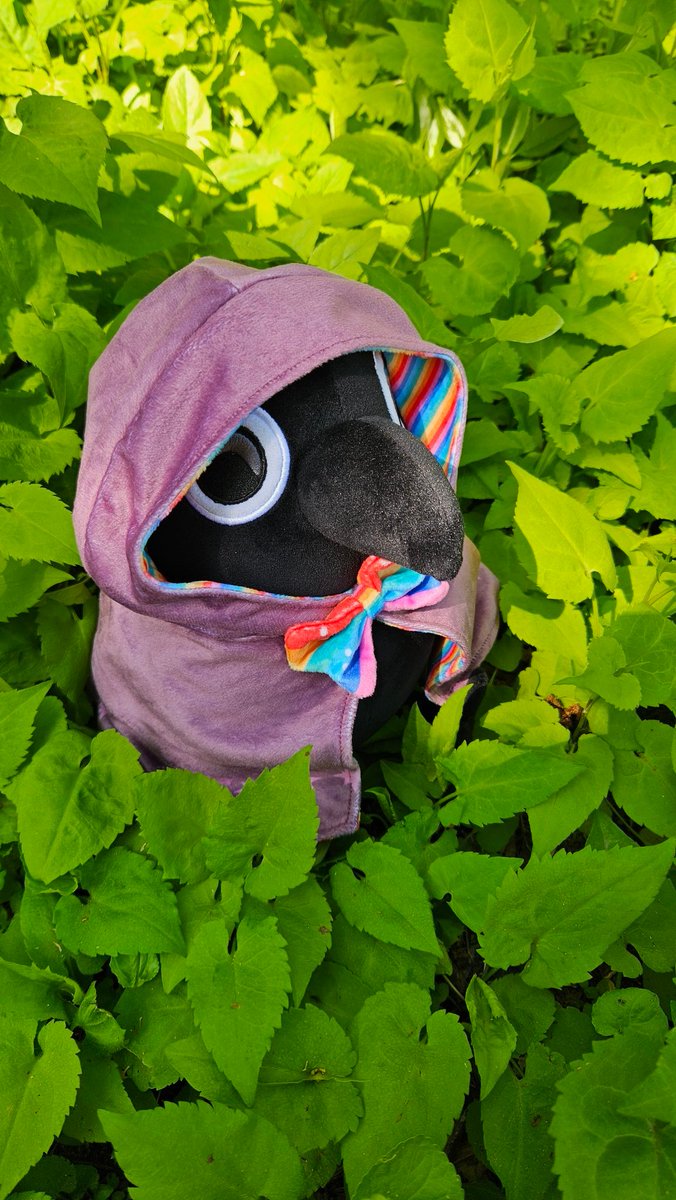Secondlina's tweet photo. 7 days left to adopt a crow son.

https://t.co/RJ0uSMlouX https://t.co/OBTS6fGDiF