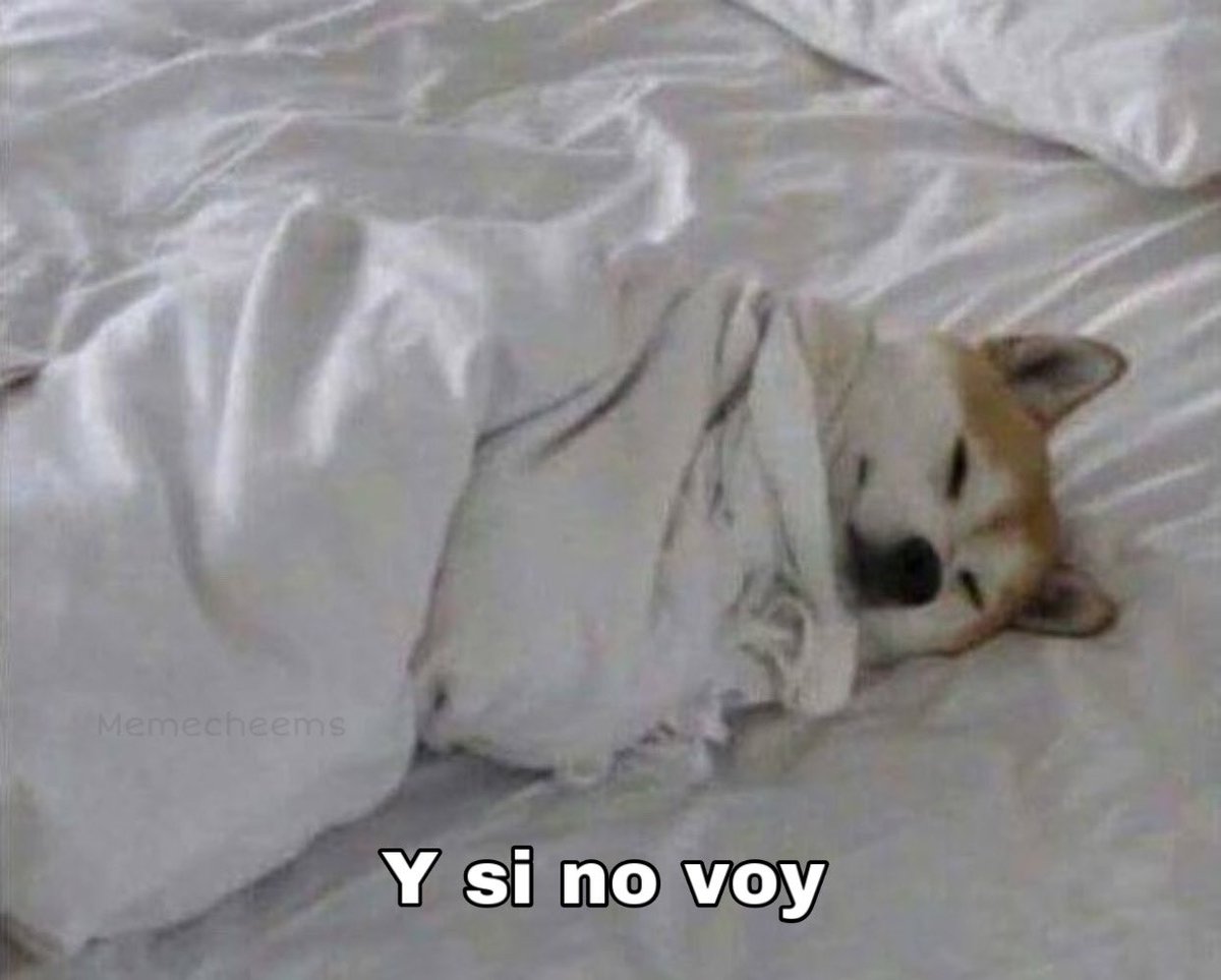 Briagowsky's tweet photo. Buenas, ya se siente el viernes... https://t.co/eUKMU5ATA7