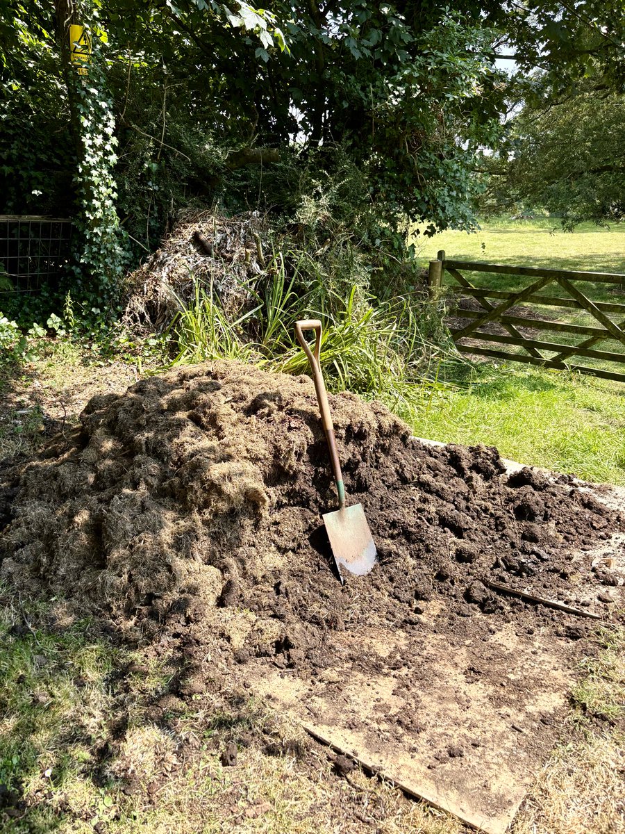 keithtesterliv1's tweet photo. It’s good stuff. I’d soaked around the roses then started to mulch with the manure. Half done ( too hot!) the rest next week. #manorhouse #manure #rosebed https://t.co/pyCTWHs0mS
