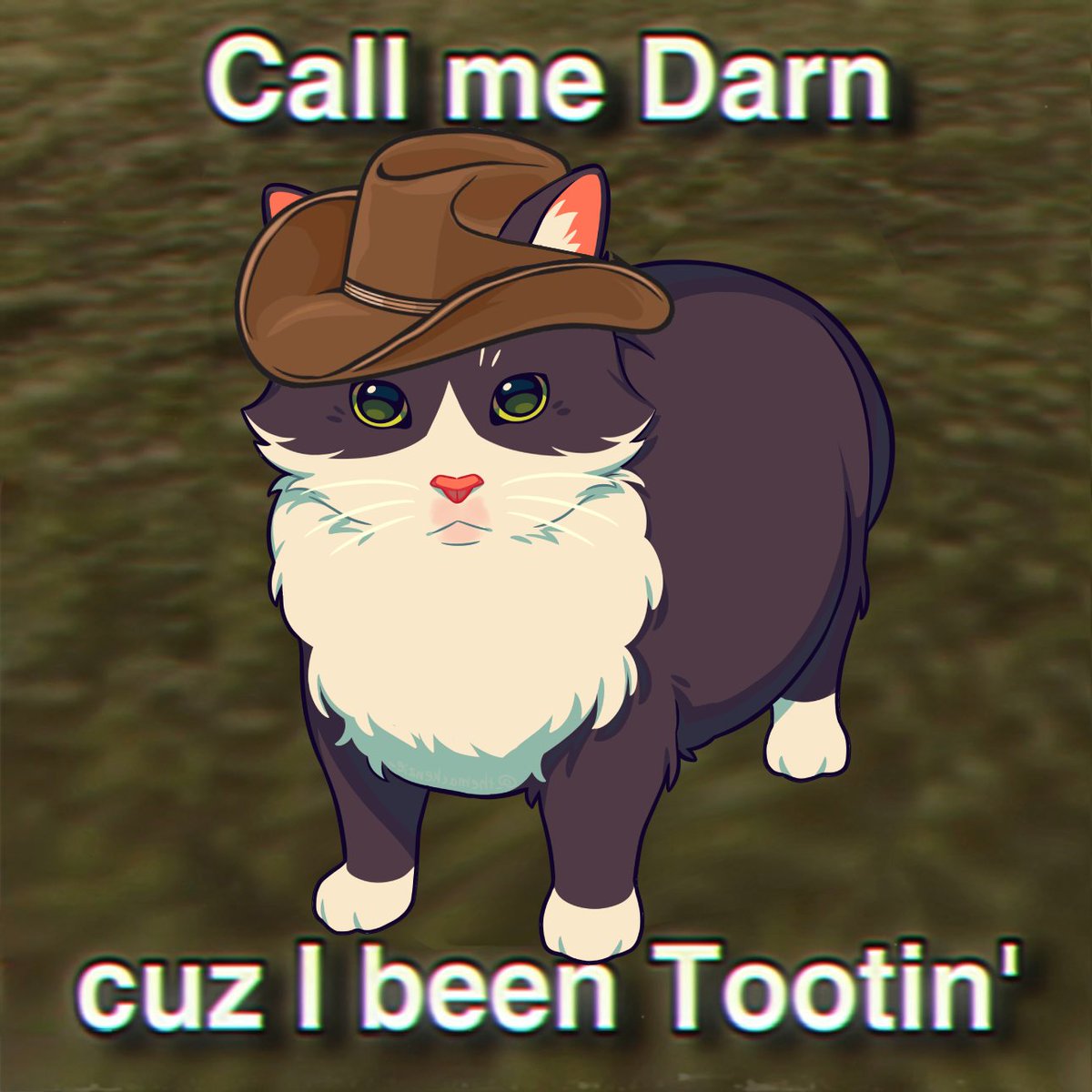 KiwiCat_TV's tweet photo. Yeehaw! https://t.co/7MxIaroKYh