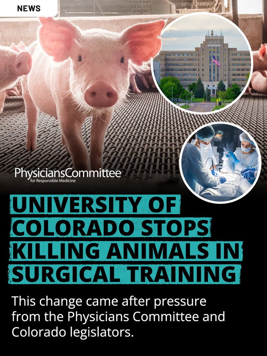 Physicians Committee tweet media