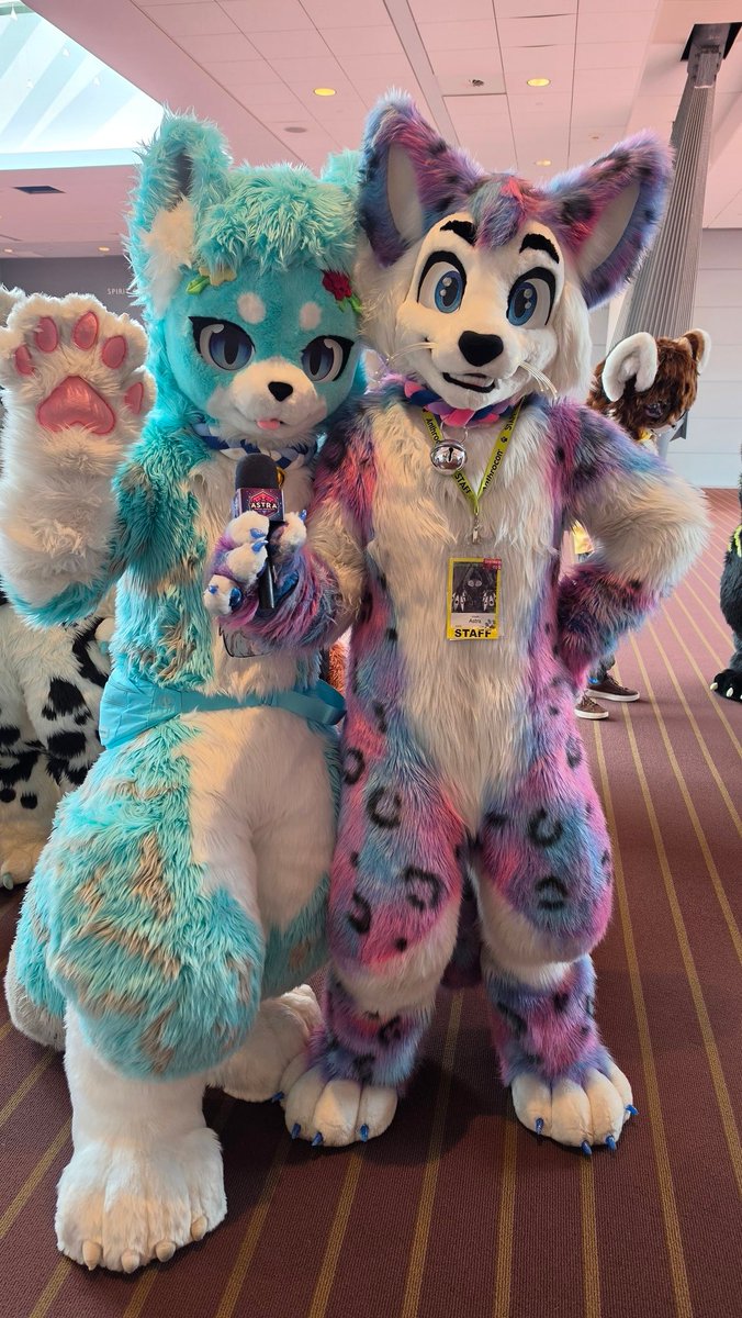 PixelFluffer's tweet photo. Photo with @Astra_The_Kitty! https://t.co/XMwZFTiuBw