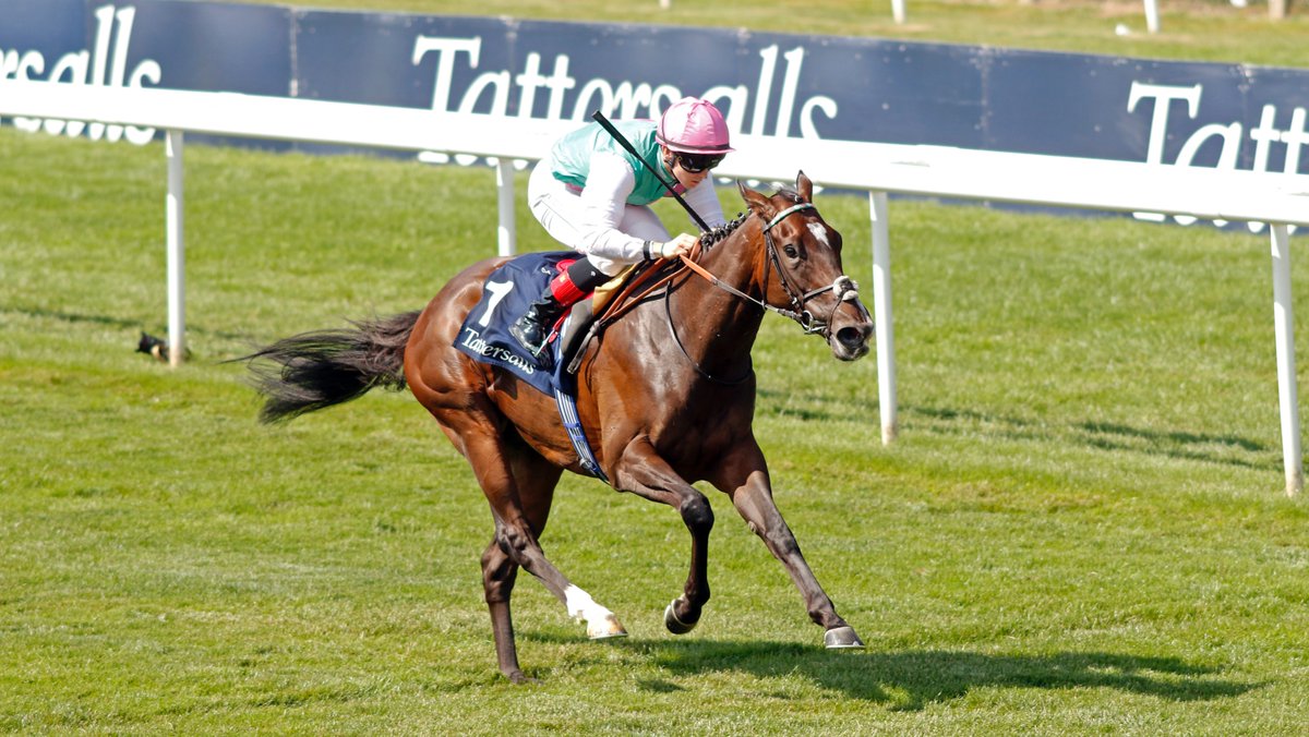bloodstocknews's tweet photo. BLUE BOLT wins the Gr.1 Tattersalls Sceptre Sessions Falmouth Stakes at Newmarket💎

The 4yo filly has gone from strength to strength this year and now adds a first Gr.1 win to her CV⚡️

Catch the full Race Review in tomorrow's #EBN #ReadAllAboutIt 🗞️

📸 - Steve Cargill https://t.co/VtXo411jgz