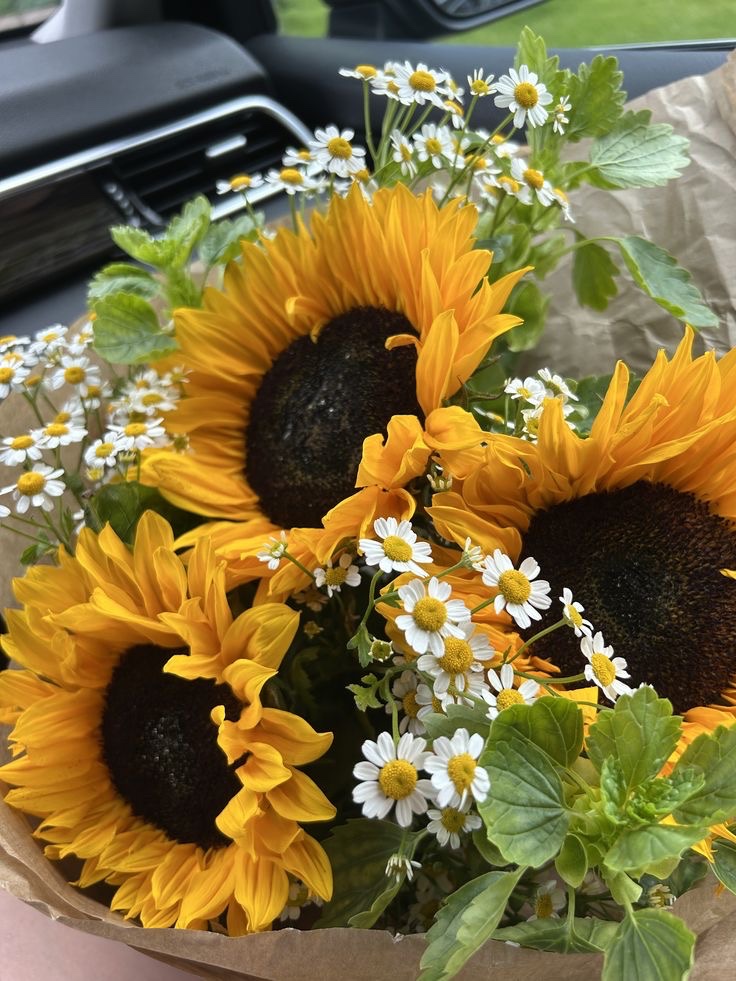 sunflowerchives's tweet photo. Some cute flowers https://t.co/OfNEHE0DGp