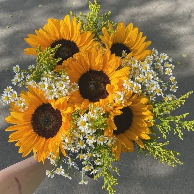 sunflowerchives's tweet photo. Some cute flowers https://t.co/OfNEHE0DGp