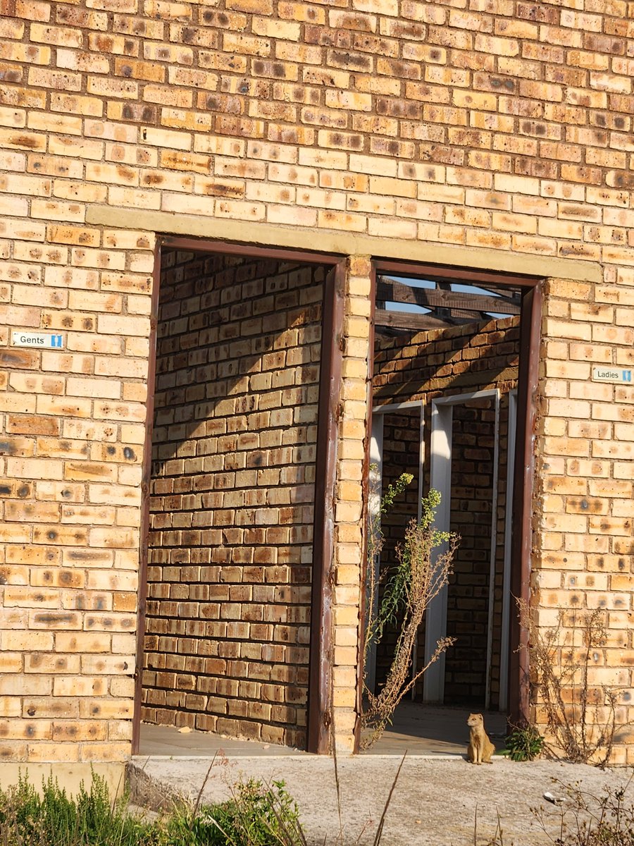 CrackeJon's tweet photo. @JackBloomDA Please go visit Sterkfontein graveyard across the road from there , the bathrooms are looking a little empty https://t.co/k0lk3eQmdm