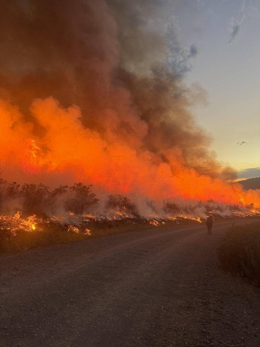 National Interagency Fire Center tweet media