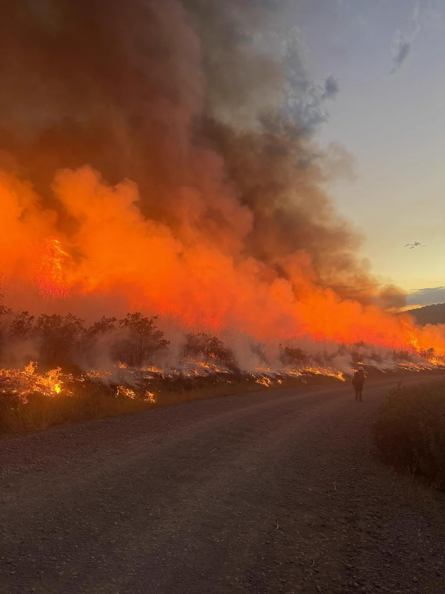 Firing operations on the Gold Mountain Fire in Colorado. Photo from InciWeb. 