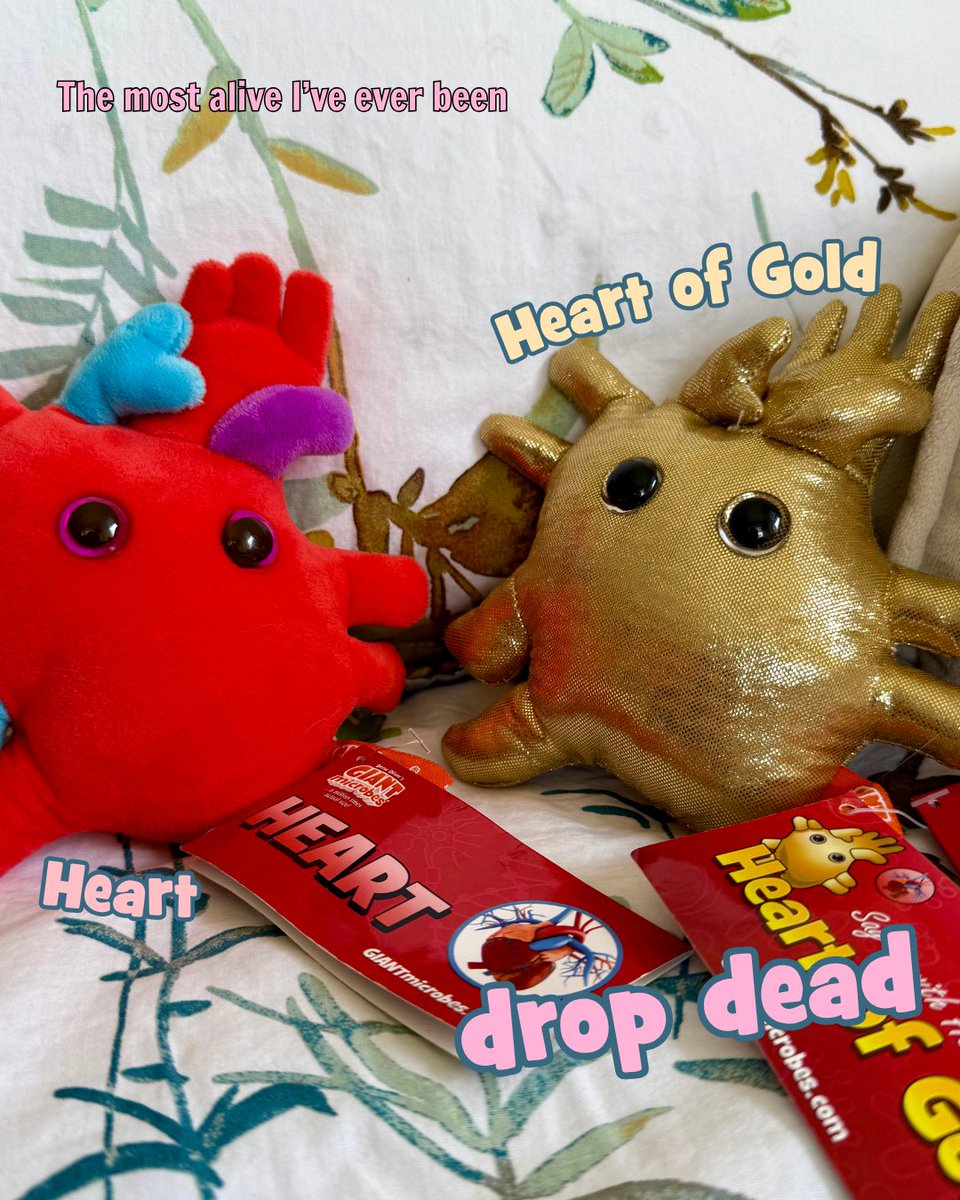 GIANTmicrobes's tweet photo. You seem pretty sad for a girl so in love… 💔🧸

Olivia Rodrigo vibes + GIANTmicrobes = the ultimate plushie pairings. 🦠🎶

Which one matches your current era? ✨

Shop your pairing: https://t.co/9VtDVQsVDm

#GIANTmicrobes #OliviaRodrigo #STEM #Plushies https://t.co/iDcdzMwJAO