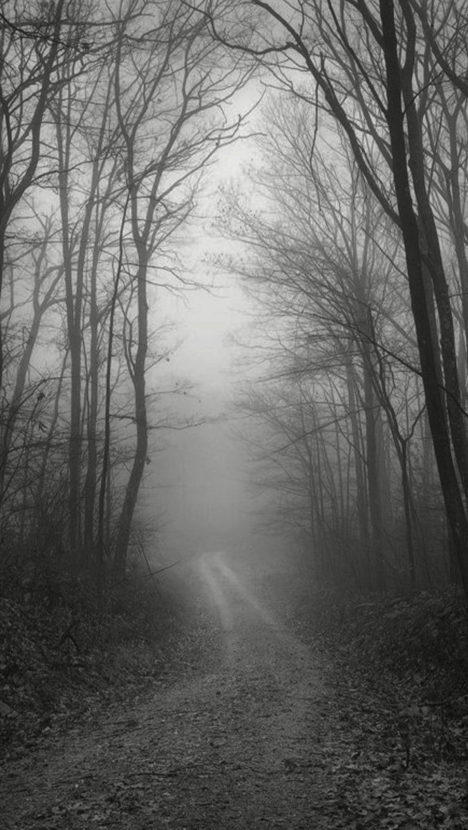 NIN75_'s tweet photo. The path........ https://t.co/7RUsy6zx1w