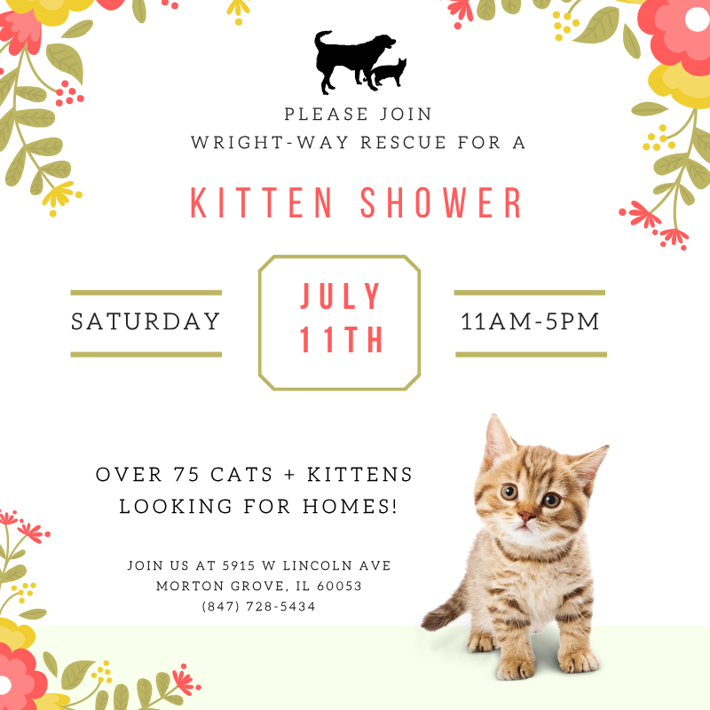 WrightWayRescue's tweet photo. Tomorrow Is the Day! 🎉

Tomorrow, Wright-Way Rescue's Kitten Shower takes over our Morton Grove Adoption Center!

More than 75 kittens will be waiting to meet you.

🎉 Adopt two kittens and receive $100 OFF your second kitten adoption!
Already reserved your kitten?

Your discount still applies if you adopt a second kitten tomorrow!

📍5915 W. Lincoln Ave.
Morton Grove, IL
🕚 Saturday | 11am-5pm
Walk-ins welcome!