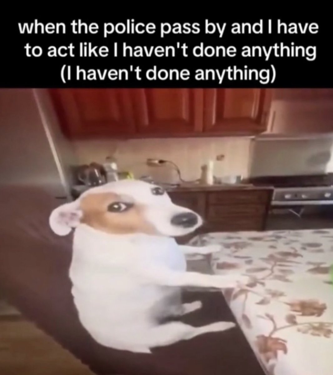 RespectfulMemes's tweet photo. https://t.co/of2tBP003t