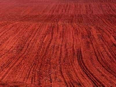 CommanMan777589's tweet photo. Why is the soil of Kurukshetra still red today?

Science says it’s from iron in the soil.

I says it’s from the Mahabharat War  !!

Repost if you agree https://t.co/bPKX0GyNH6