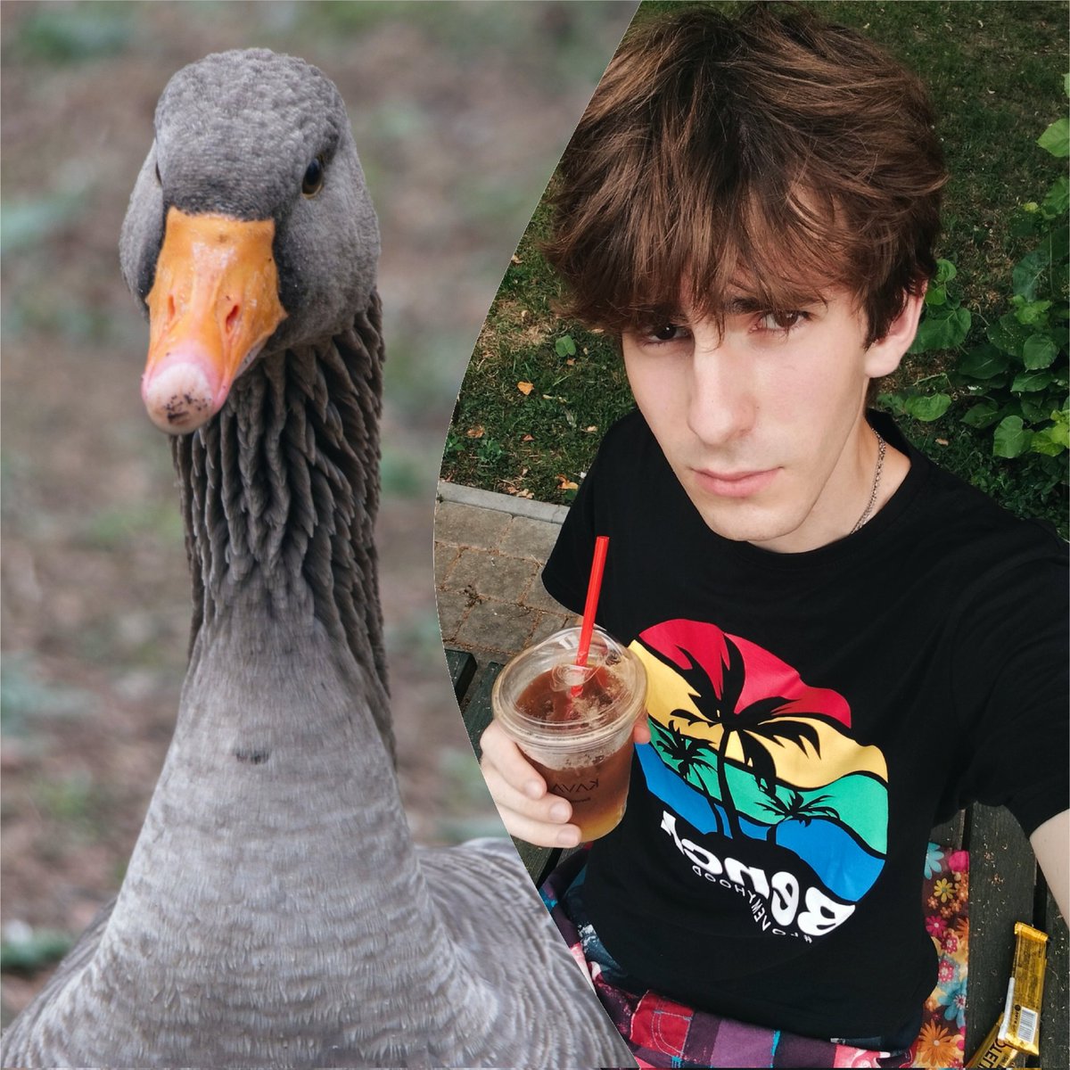 vickey_goose's tweet photo. Ну, одне обличчя, правда??? 🪿
#gay #gayboy #gayukraine #українськийгей #goose #funny https://t.co/HX88fdc3q3