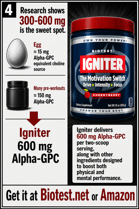 T_Nation's tweet photo. Most ingredients are either for physical performance or mental performance. Alpha-GPC enhances both: https://t.co/lIpkrXKblB https://t.co/fHzGnF5YqS