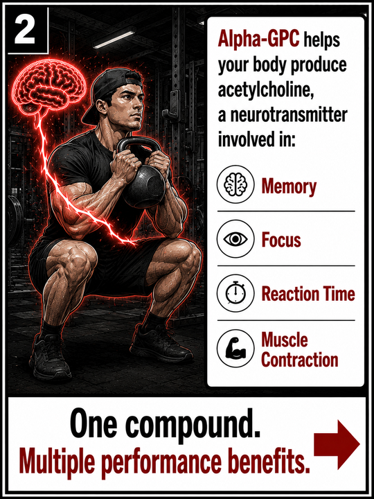 T_Nation's tweet photo. Most ingredients are either for physical performance or mental performance. Alpha-GPC enhances both: https://t.co/lIpkrXKblB https://t.co/fHzGnF5YqS