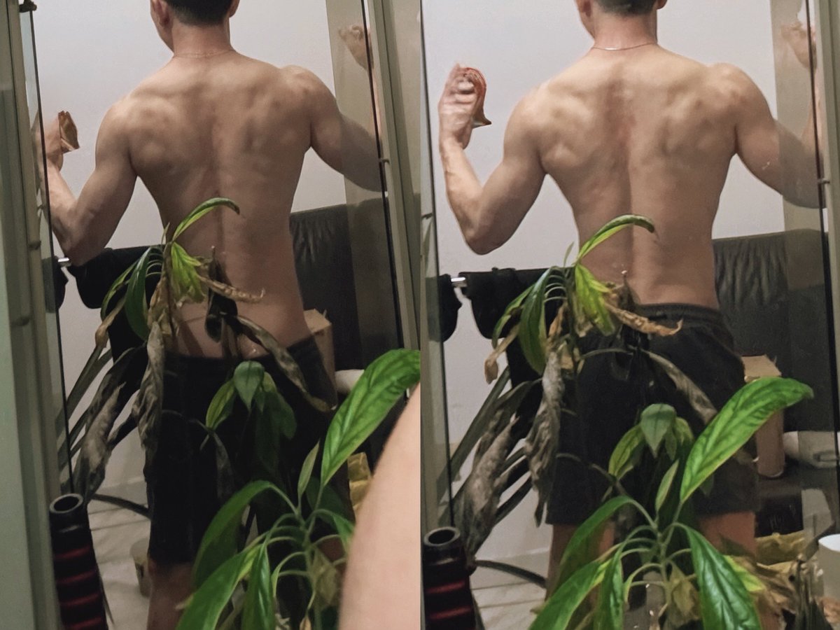 kkry_b10's tweet photo. 今天是进健身房一年了，
减脂增肌还算可以吧
认可的可以点个❤️ 
🔒2566
@RockyLockyCum
@GayChastityRTs https://t.co/EcTaHPK1gp