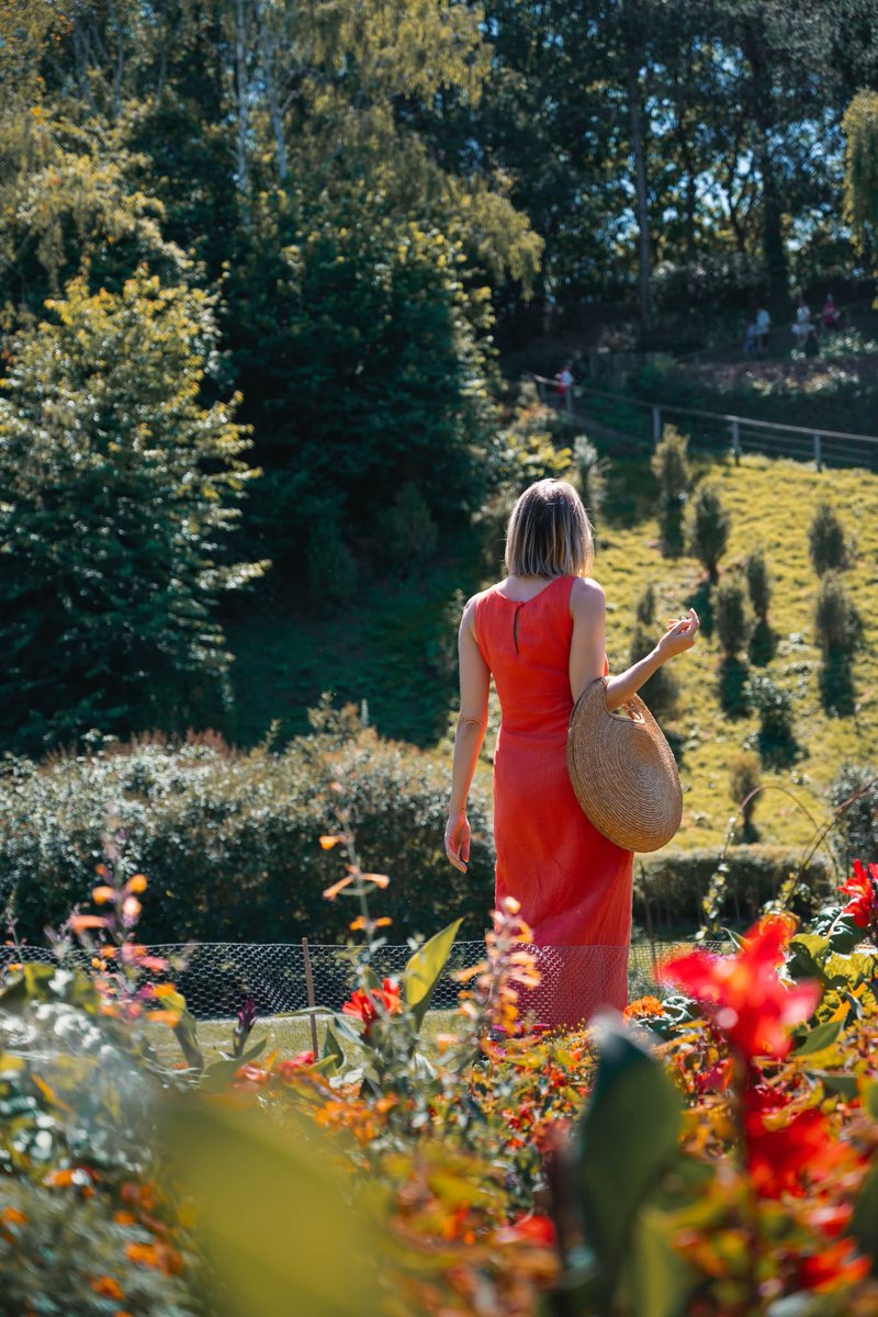 CaenOfficiel's tweet photo. 🌺Colline aux oiseaux, parc saint-Paul, place de la République, etc, les JARDINS D’ÉTÉ fleurissent dans tous les quartiers de la Ville de #CAEN ! 
ℹ️ Pour trouver VOTRE jardin d'été préféré :
https://t.co/asr157Ll17
📷 Maxime Bouvier et Alexia Kourilenko https://t.co/dkcvAhTLtu