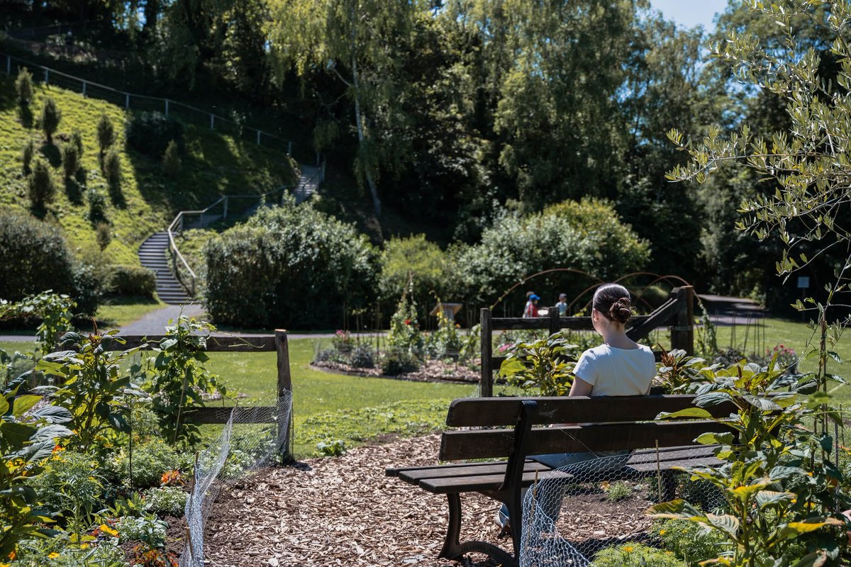 CaenOfficiel's tweet photo. 🌺Colline aux oiseaux, parc saint-Paul, place de la République, etc, les JARDINS D’ÉTÉ fleurissent dans tous les quartiers de la Ville de #CAEN ! 
ℹ️ Pour trouver VOTRE jardin d'été préféré :
https://t.co/asr157Ll17
📷 Maxime Bouvier et Alexia Kourilenko https://t.co/dkcvAhTLtu