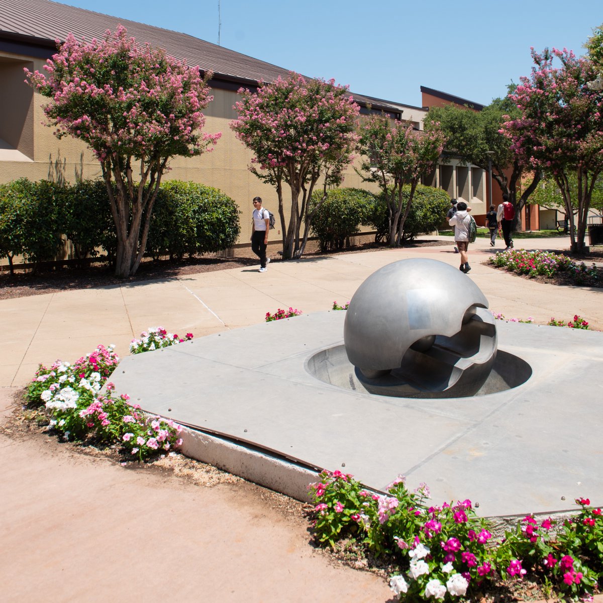 dallascollegetx's tweet photo. Stop (scrolling) and smell the flowers from our Eastfield Campus this morning. https://t.co/GerekKFfFV