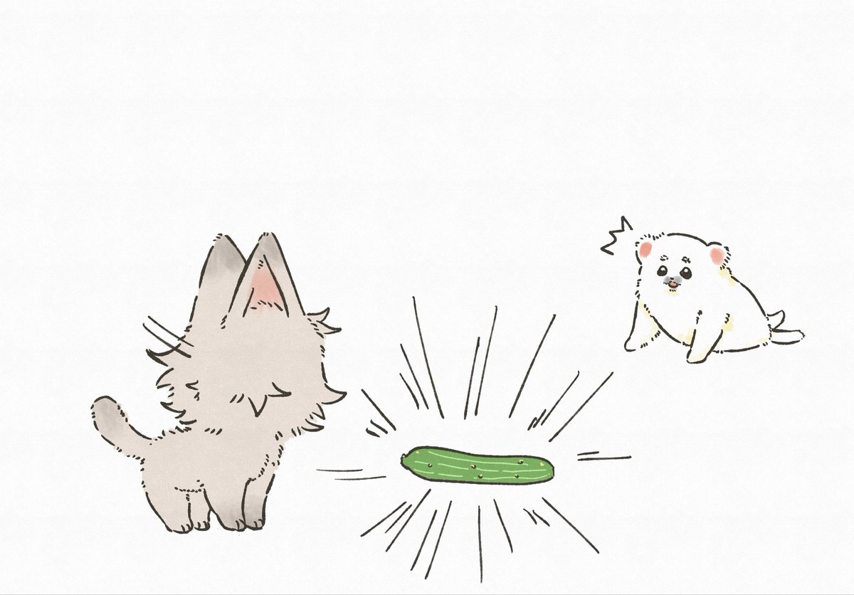 yun_53_'s tweet photo. baby🦭baby🐱
國際小貓日意思意思一下 https://t.co/eYm6cO3QGF