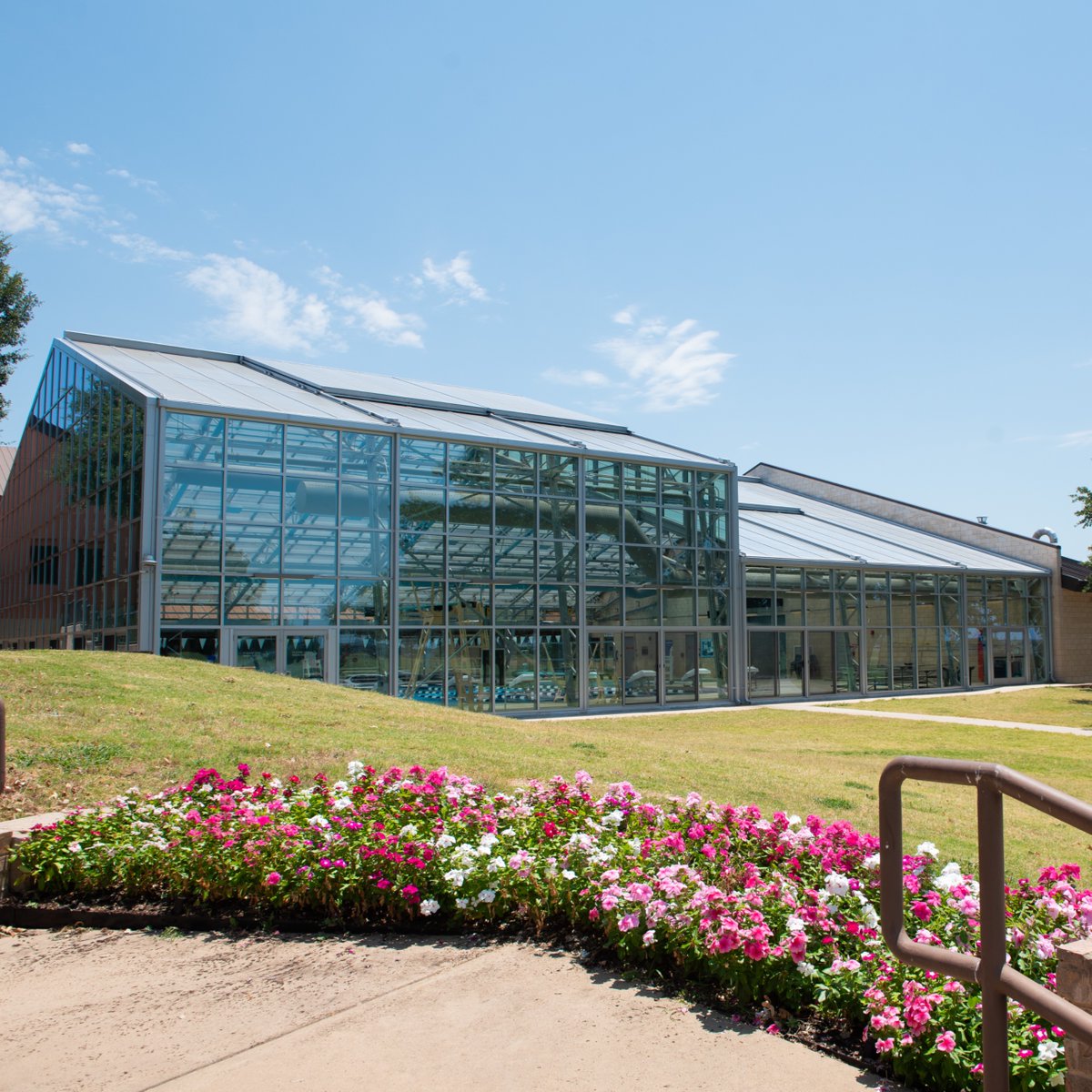 dallascollegetx's tweet photo. Stop (scrolling) and smell the flowers from our Eastfield Campus this morning. https://t.co/GerekKFfFV