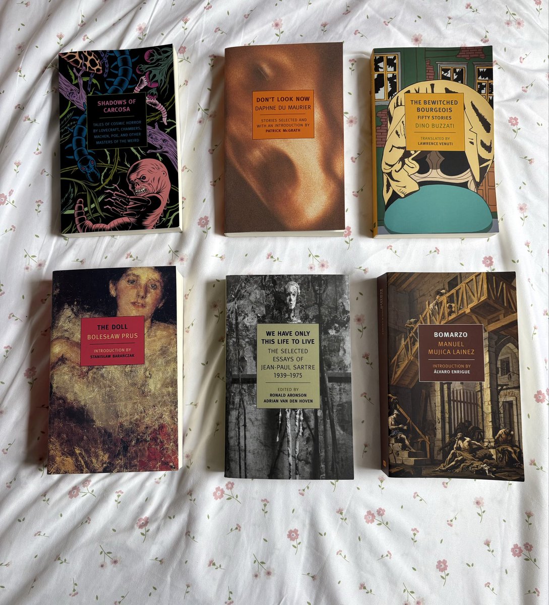leurevess's tweet photo. nyrb haul https://t.co/dA2bhzSQ9t