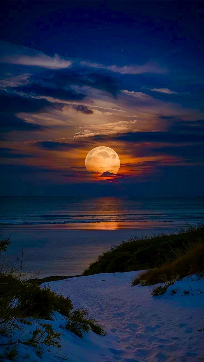 moondailys's tweet photo. https://t.co/NXYzZ7CflV