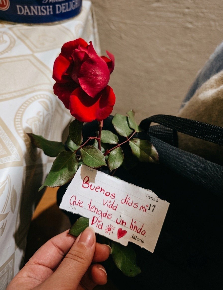 Soledaad2001's tweet photo. Como alegrarme el dia🫶🏻 
Te amo❤️‍🩹 https://t.co/ugDVW0P0jN