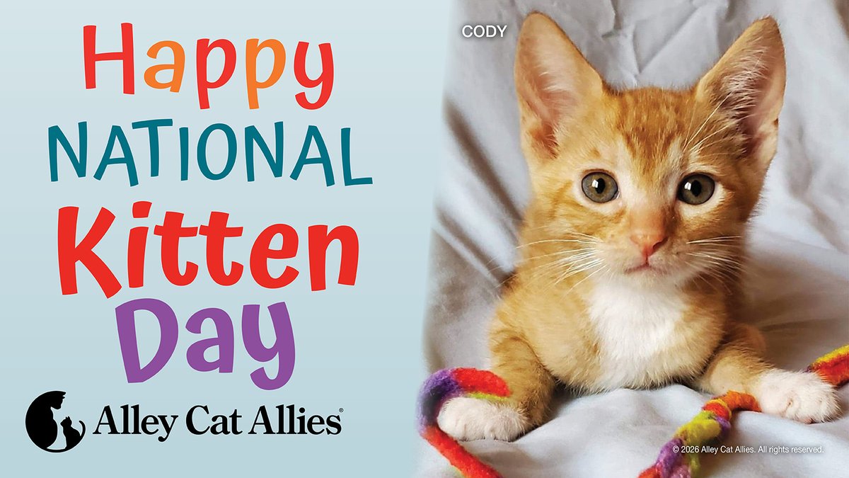 Alley Cat Allies tweet media