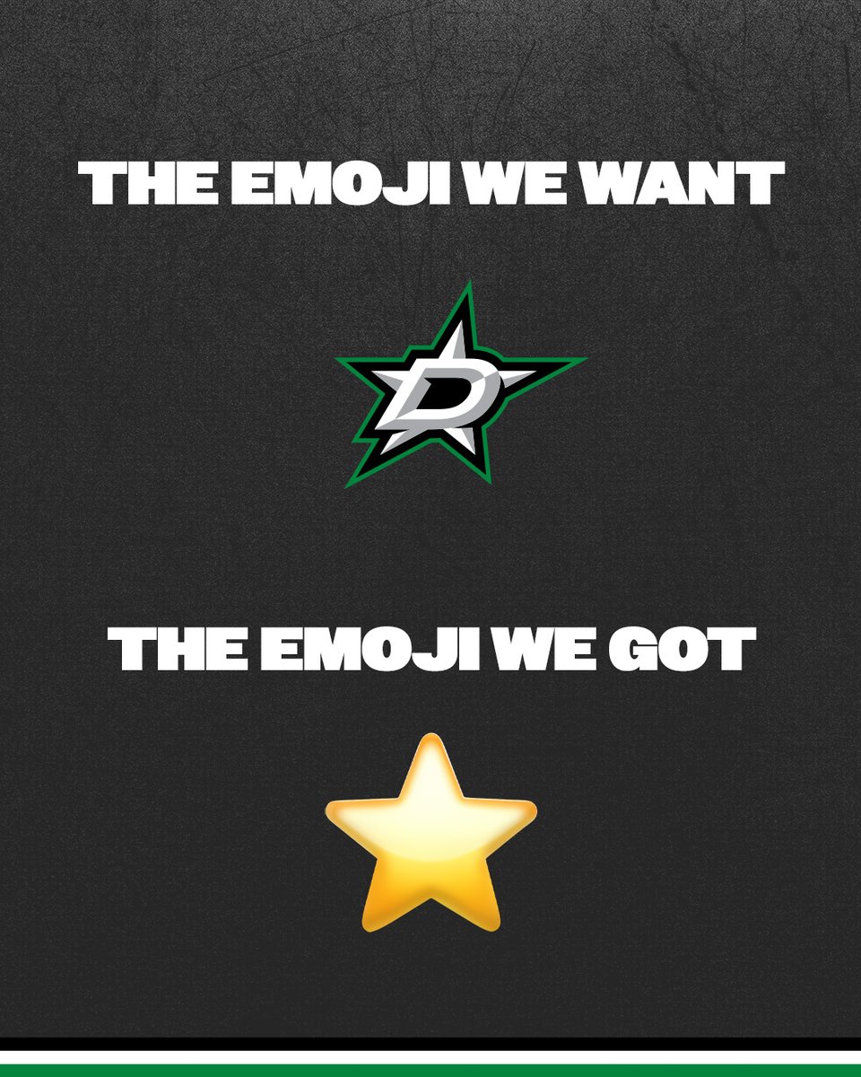 Dallas Stars Foundation tweet media