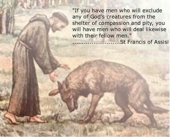 reelwithnusrat's tweet photo. “The righteous care for the needs of their animals.” Proverbs 12:10

St. Francis of Assisi devoted his life to seeing God in all creation and treating animals with compassion.

Yet some people mock animal welfare as if caring for animals is somehow against faith.

Cruelty is not faith.
Neglect is not faith.
Compassion is.

You cannot honour the Creator while abusing His creation. 🐾