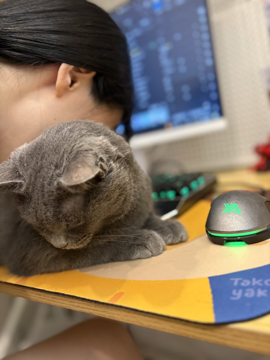 1111dodotime's tweet photo. 😤😤😤 https://t.co/LyEyQGfsTm