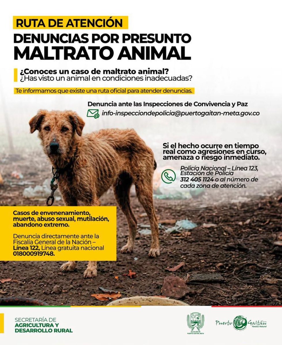 persogaitan's tweet photo. La Personería Municipal de Puerto Gaitán comparte con la comunidad el material informativo socializado en la Segunda Sesión Ordinaria del Comité de Bienestar Animal, con el propósito de promover la protección, el bienestar y la tenencia responsable de los animales de compañía. https://t.co/oGO3qagujK