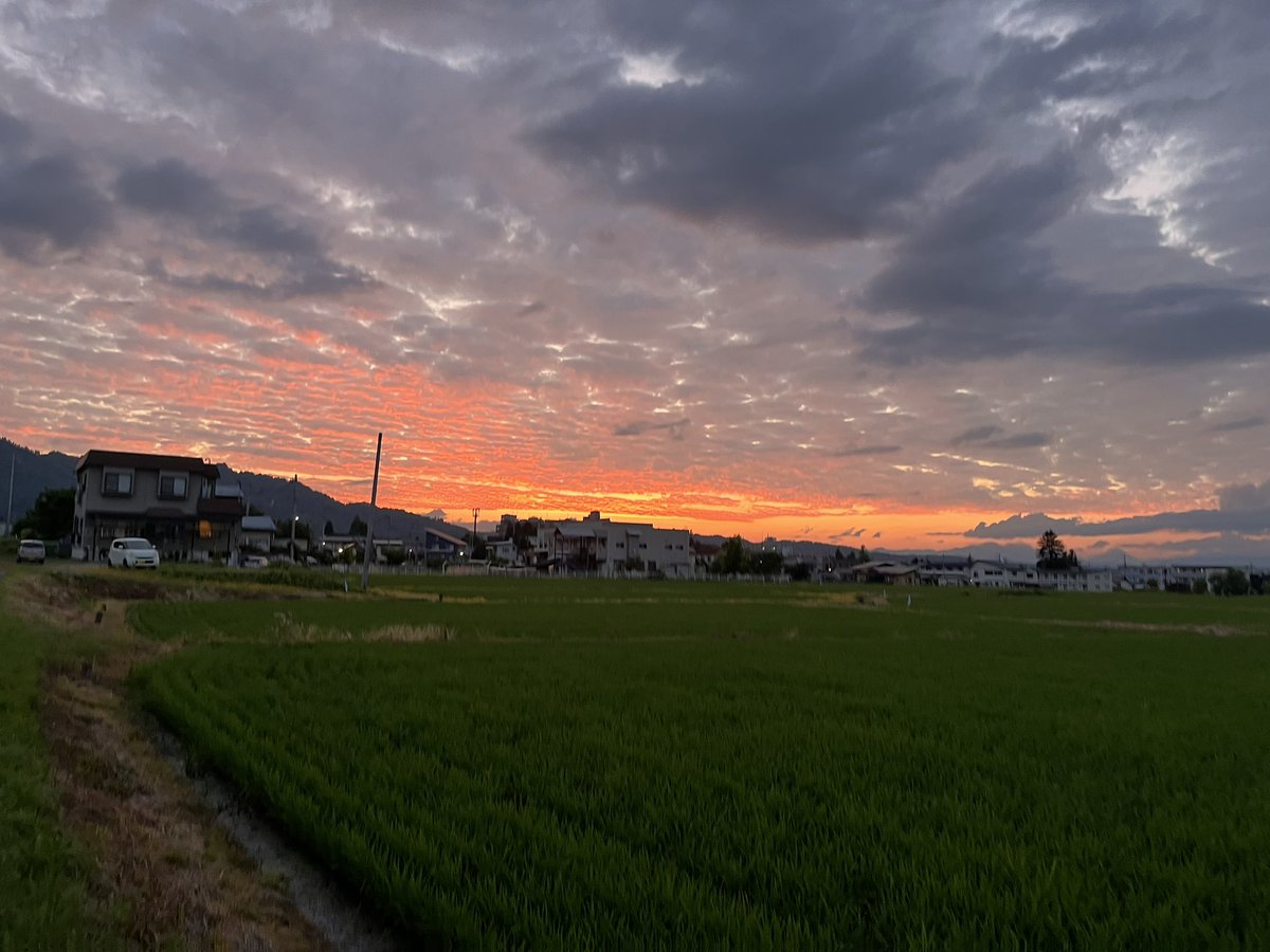 tekiziku233's tweet photo. https://t.co/6T3qMd9VWf