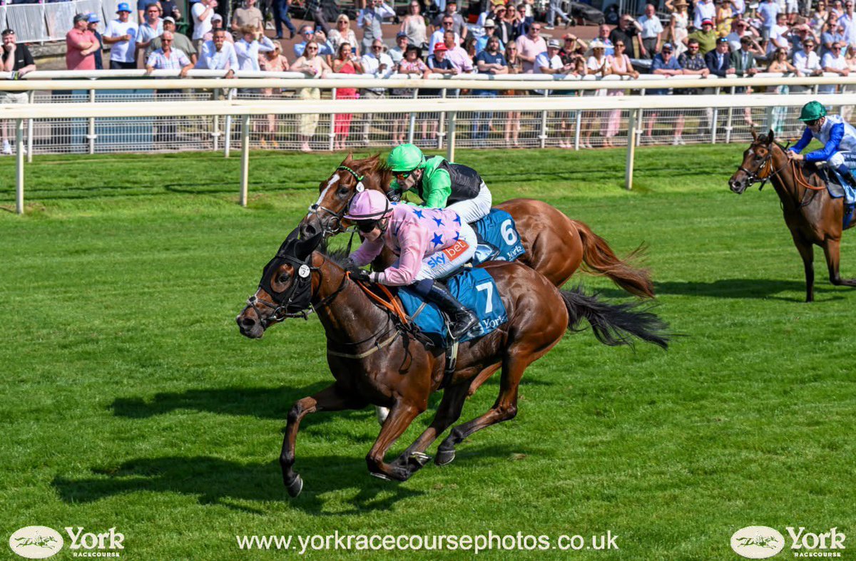 Gemma Tutty Racing tweet media