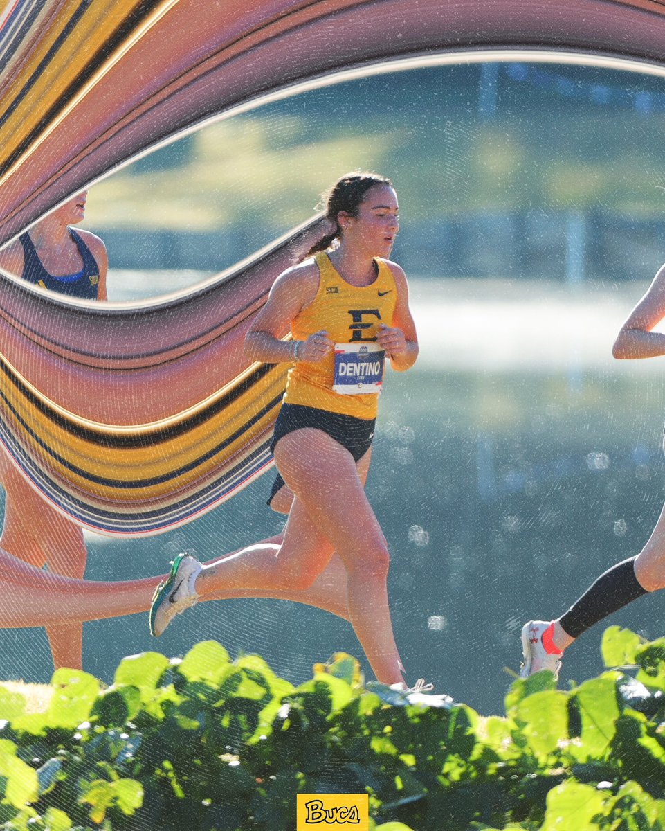 etsu_tfxc's tweet photo. etsuxctf_stretchedpixels.jpg

#GoBucs https://t.co/rtofKefTuH
