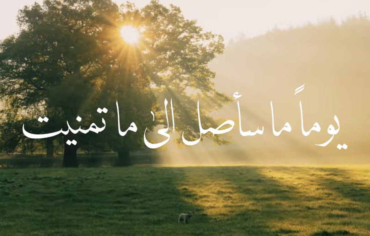 taif tweet media