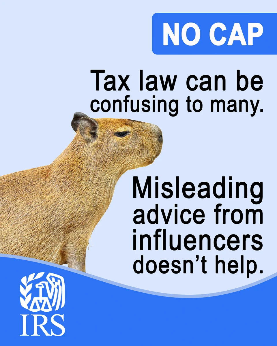 A capybara standing in front of a blue background. Text: No CAP. Tax law can be confusing to many. Misleading advice from influencers doesn’t help. IRS logo.
