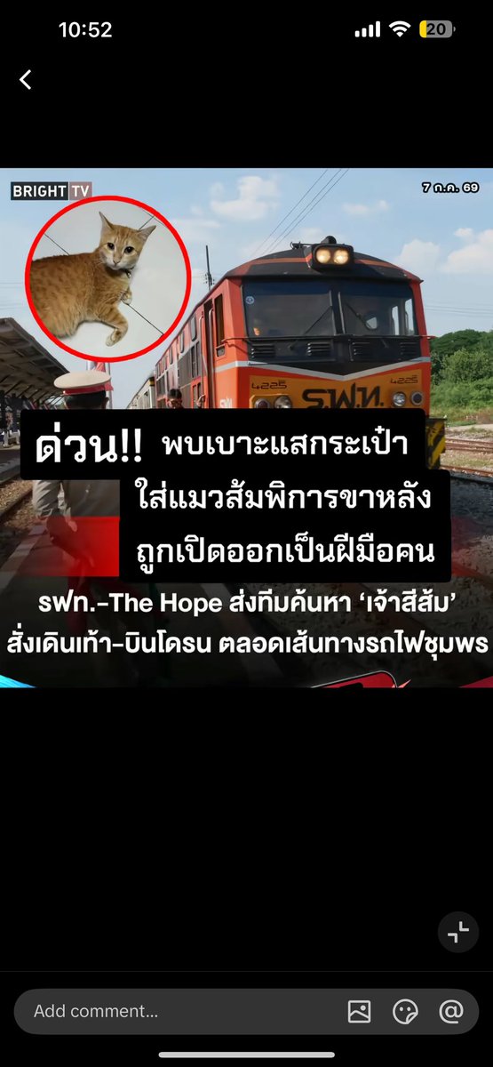 Donaldae's tweet photo. ❤️ ยังมีหวัง รายงานว่า The Hope Thailand และ บ้านหลังสุดท้ายของน้องจรจัด เจอรอยเท้า และกระดิ่งของน้องแมว ซึ่งคาดว่าเป็นของเจ้าสีส้ม และมั่นใจว่า เจ้าสีส้มยังมีชีวิตอยู่อย่างแน่นอน และตั้งเป้าหมายของการค้นหาในครั้งนี้ว่าจะต้องเจอ เจ้าสีส้ม อย่างปลอดภัย 

น้องแซนดี้ที่อป็น K9 ส่งสัญญาณว่า สีส้มเคยอยู่ใต้ชานชาลา 

เหมือนเดิมครับ #บน ถ้าเกิดน้องได้เจอกับแม่อย่างปลอดภัย จะงดกินเนื้อสัตว์ 3 วัน  สาธุ 🙏🏻

#แมวหาย #แมวหายบนรถไฟ #น้องส้ม #ส้มส้ม #รถไฟ